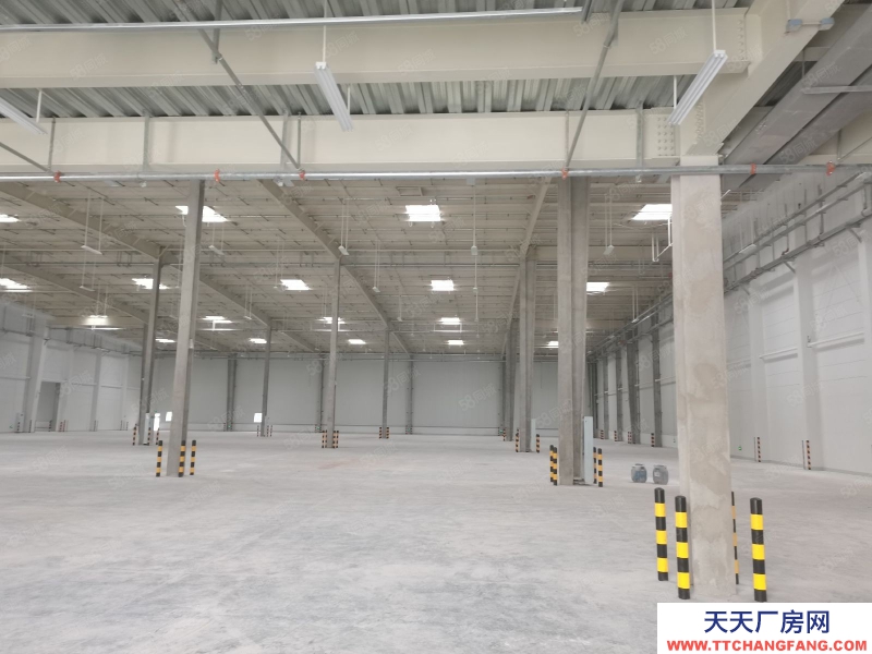 (出租) 沙坪壩大學城8500平標準倉庫出租