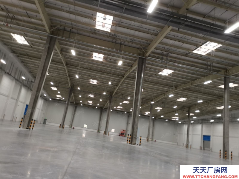 (出租) 沙坪壩大學(xué)城8500平標(biāo)準(zhǔn)倉(cāng)庫(kù)出租