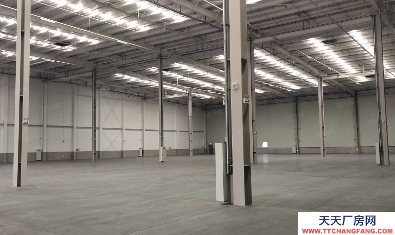 (出租) 沙坪壩土主標準倉庫2000平起出租