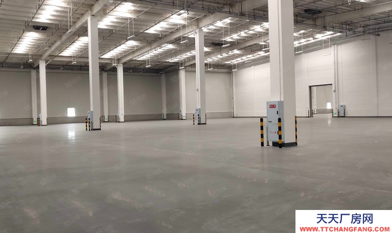 (出租) 沙坪壩土主標準倉庫2000平起出租