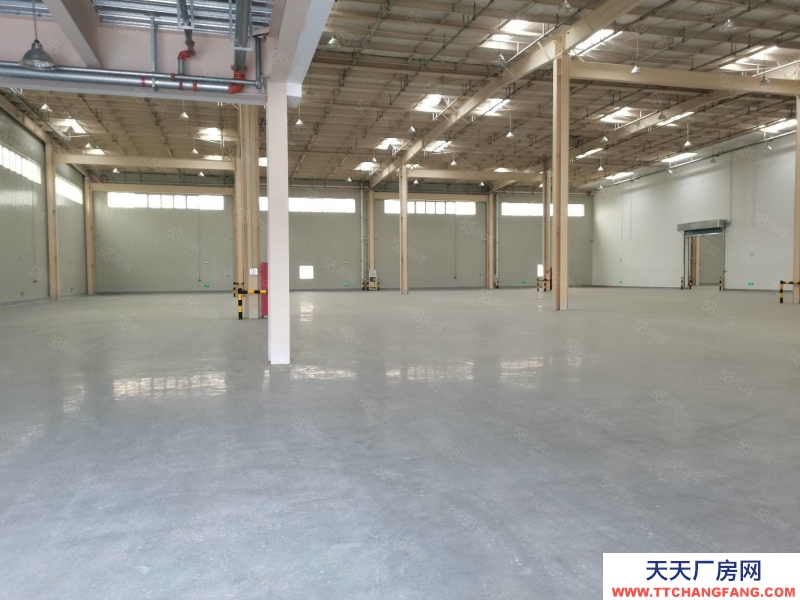 (出租) 沙坪壩西部物流園獨門獨院30000平高標庫出租