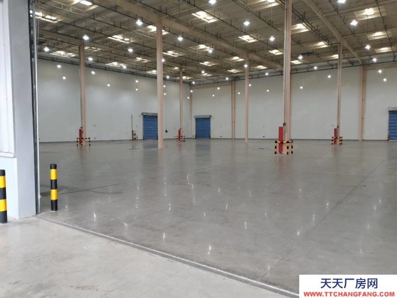 (出租) 沙坪壩西部物流園獨門獨院30000平高標庫出租