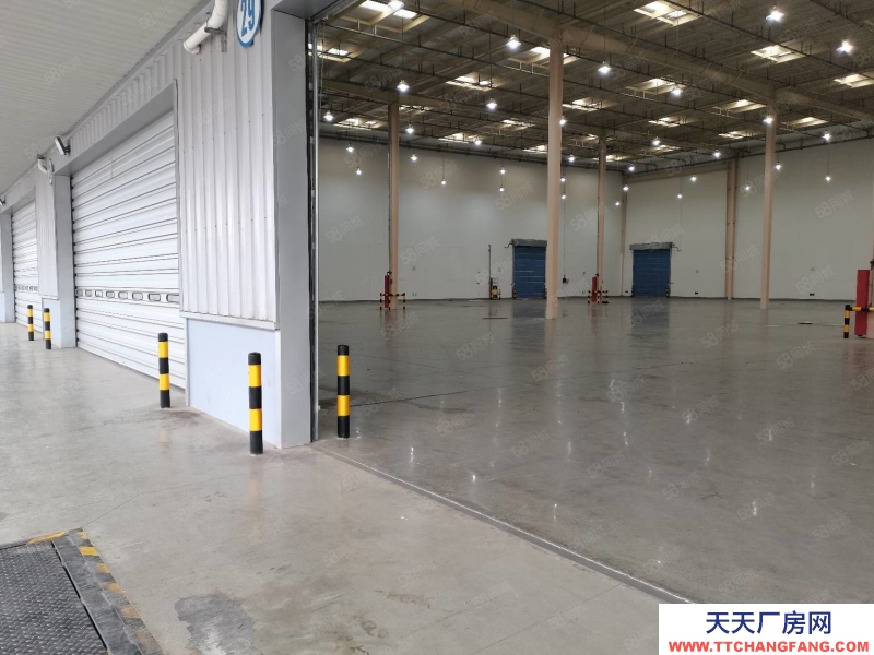 (出租) 沙坪壩西部物流園獨門獨院30000平高標庫出租