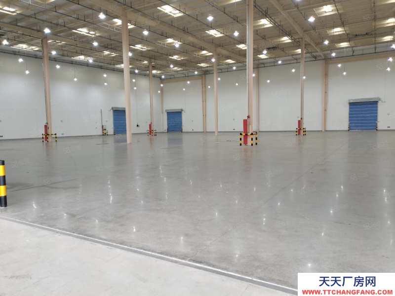 (出租) 沙坪壩西部物流園獨門獨院30000平高標庫出租