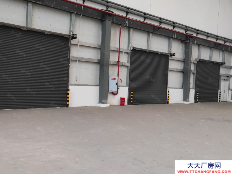 (出租) 沙坪壩區土主國際物流園區丙一級多功能公共倉招租