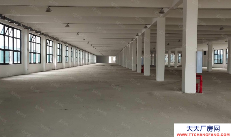 (出租) 沙坪壩雙碑地鐵站附近倉庫出租500起分租