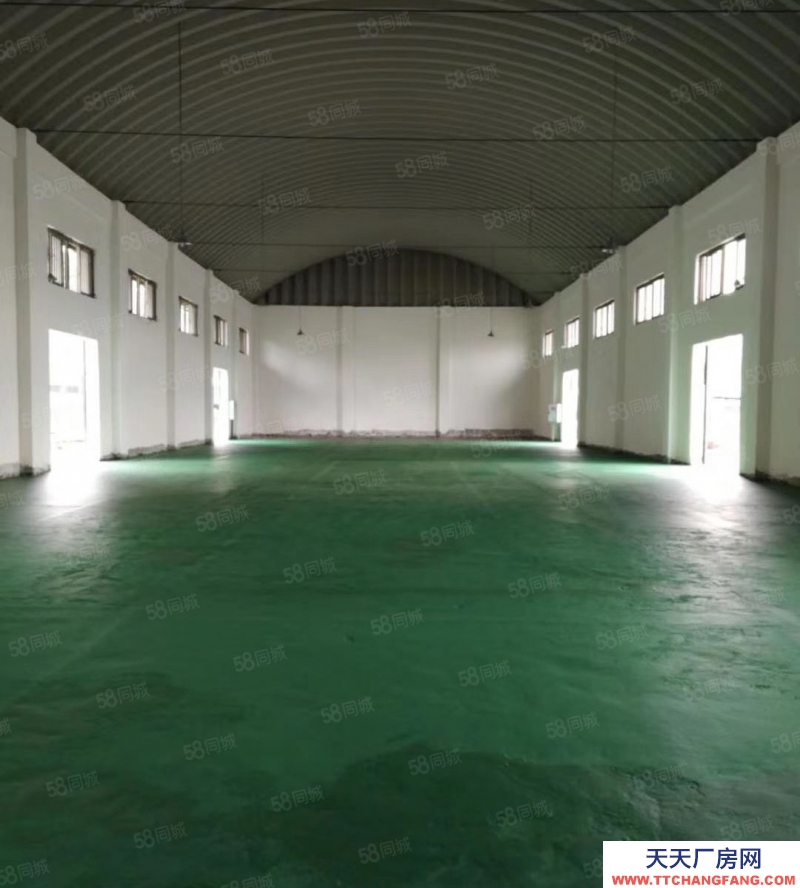 (出租) 九龍坡直港大道倉庫出租5000平米可分零