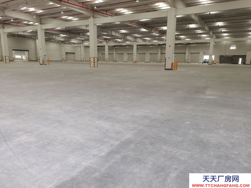 重慶 九龍坡西彭標準倉庫15000平出租(可分租)