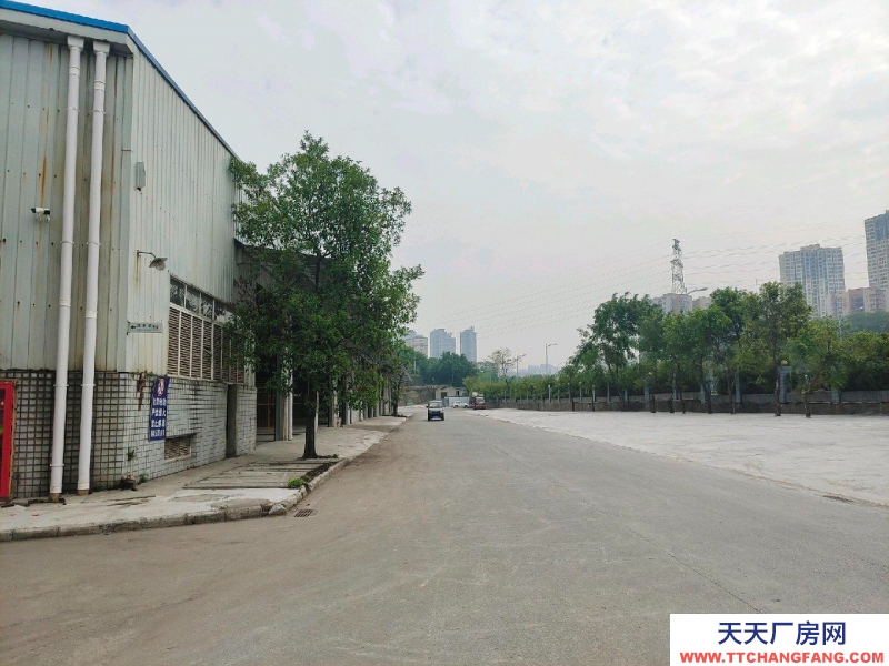 重慶九龍坡標(biāo)準(zhǔn)廠房 門口可進(jìn)大車