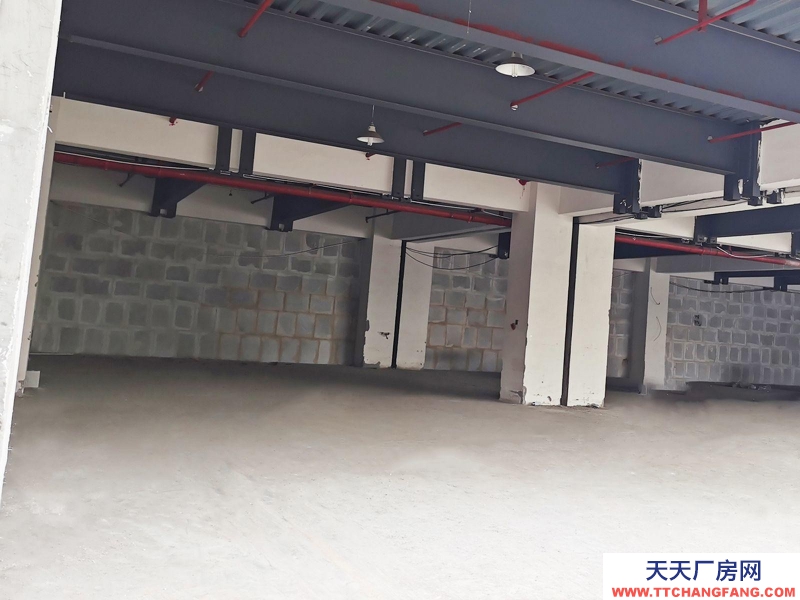 重慶 出租九龍坡二郎 庫房出租 可分租 可辦公 可做電商 環境好