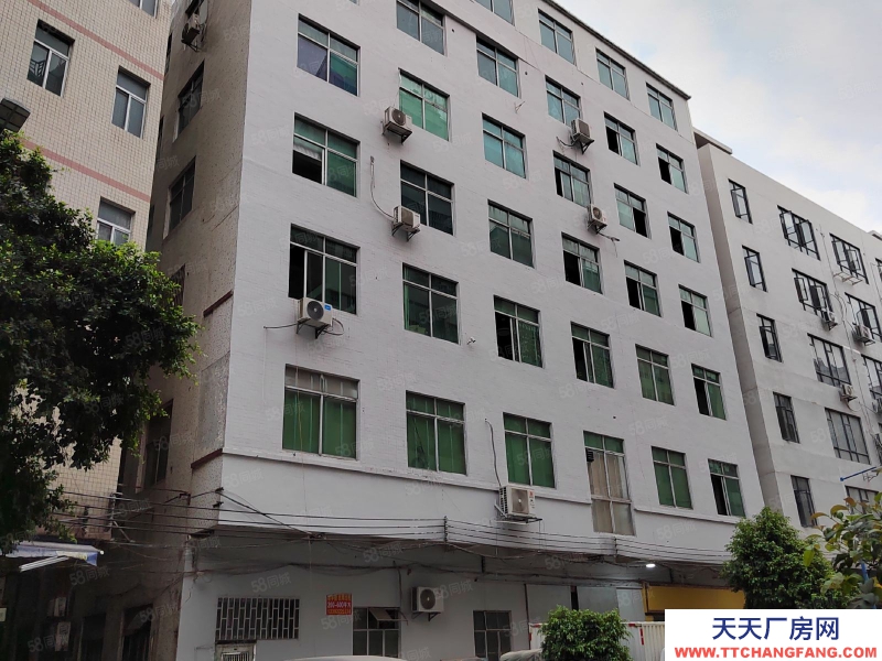 (出租)廣州白云房東直租嘉禾望崗106國道邊電梯550平方廠房