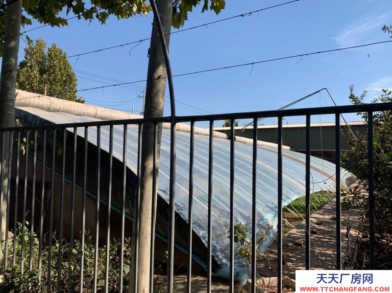 石家莊長安溫室大棚，果樹園，羊圈牛棚雞舍等