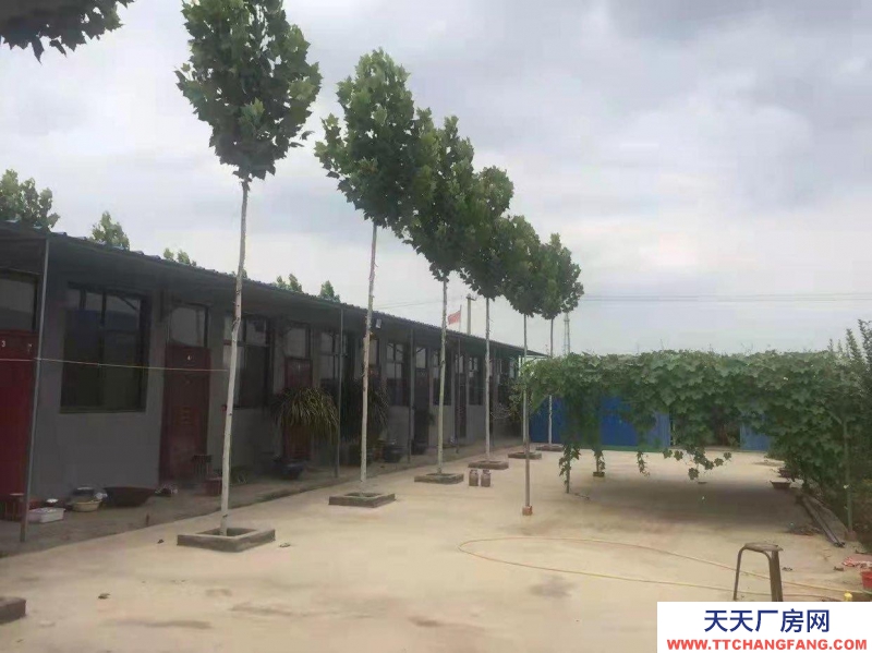 石家莊長安溫室大棚，果樹園，羊圈牛棚雞舍等