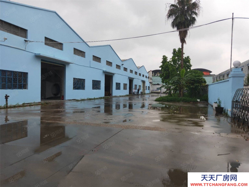 (出租)廣州白云大小可分租人和鶴亭工業區1200平米獨棟鋼構廠房