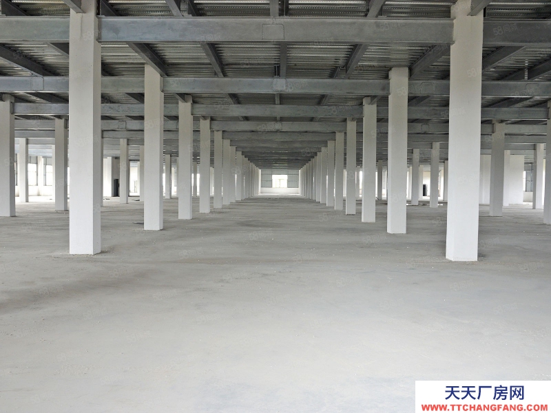 (出租)廣州白云庫房送免租期，隨租隨退高標倉外貿裝柜大貨臨租