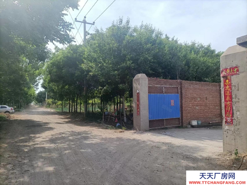 石家莊長(zhǎng)安區(qū) 南村鎮(zhèn) 大豐屯村廠房庫房出租