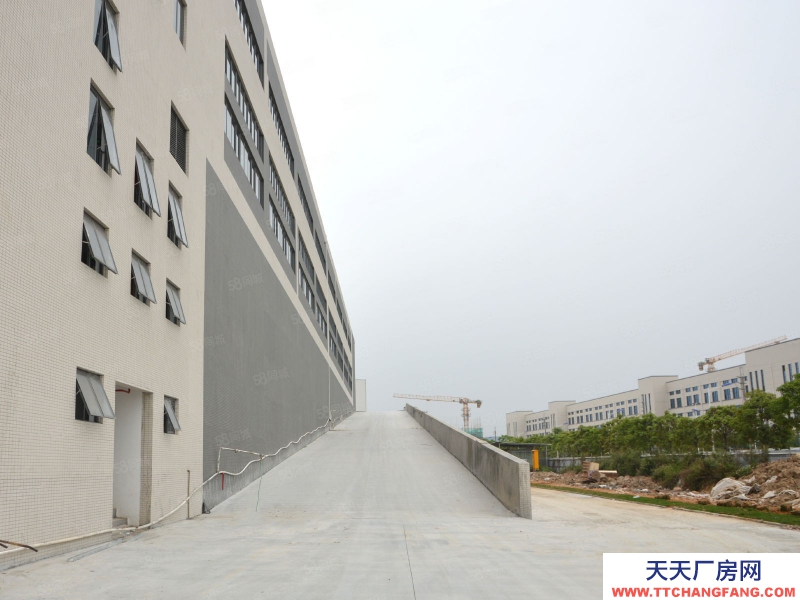 (出租) 廣州白云獨院7萬方庫房，倉庫招租，環氧地坪帶雨棚，快消品倉儲托管