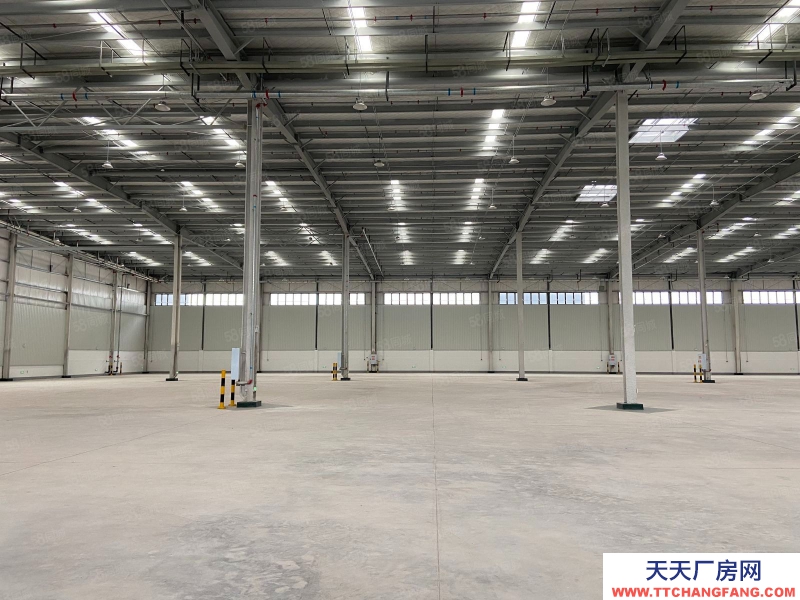 重慶渝中核心區30公里高標庫9萬平米獨門獨院1000平米起租