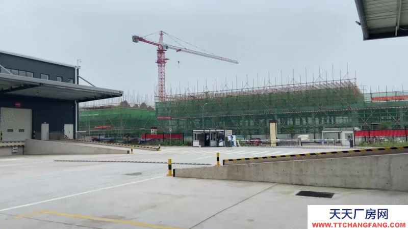 重慶渝中核心區30公里高標庫9萬平米獨門獨院1000平米起租