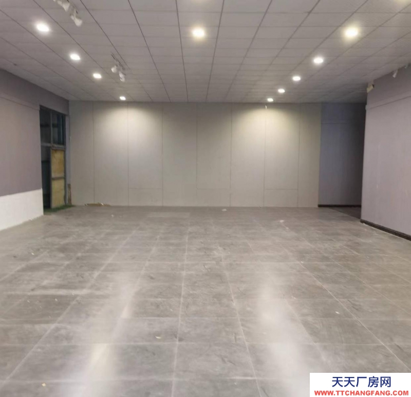 石家莊長安【460平可分割】精裝裝修倉庫 直播間庫房 可辦公 倉儲