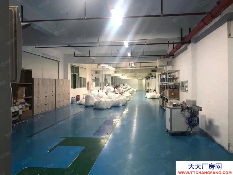 (出租) 廣州白云龍歸5700平現成護膚品美妝廠出租 有環評