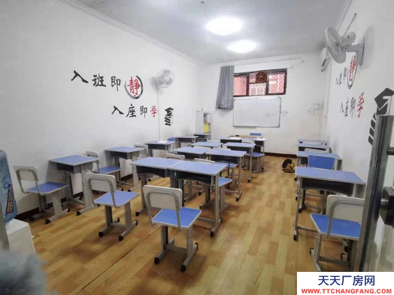 石家莊橋西區 新華西路 辦公樓 獨院 出租