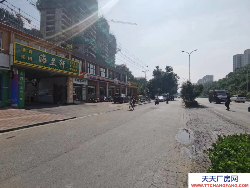 石家莊橋西區(qū) 新華西路 辦公樓 獨(dú)院 出租