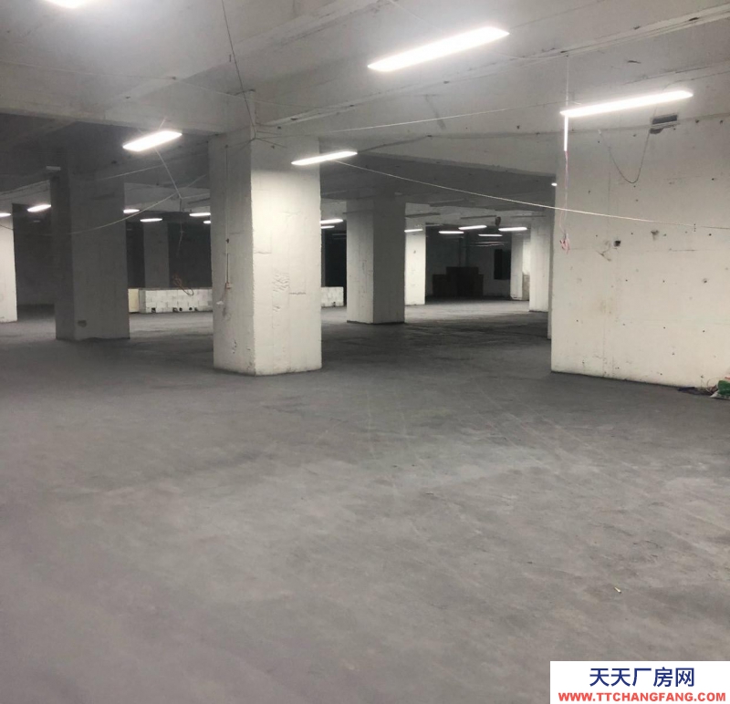 重慶渝中區(qū) 地段優(yōu)，離朝天門市場近，進出貨方便。