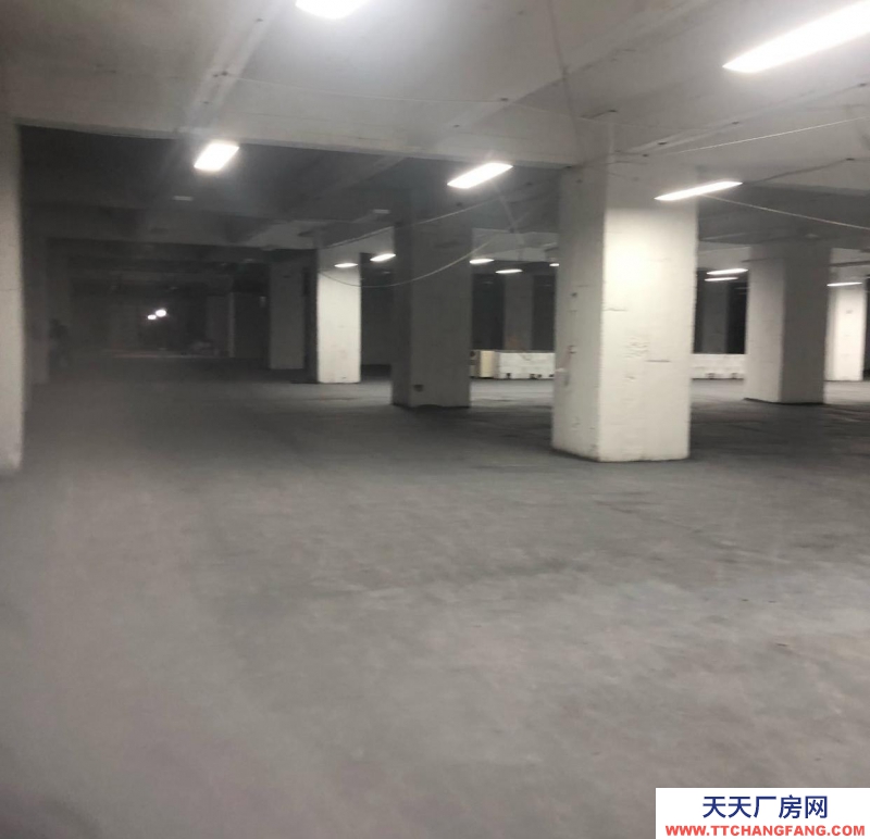 重慶渝中區(qū) 地段優(yōu)，離朝天門市場近，進出貨方便。