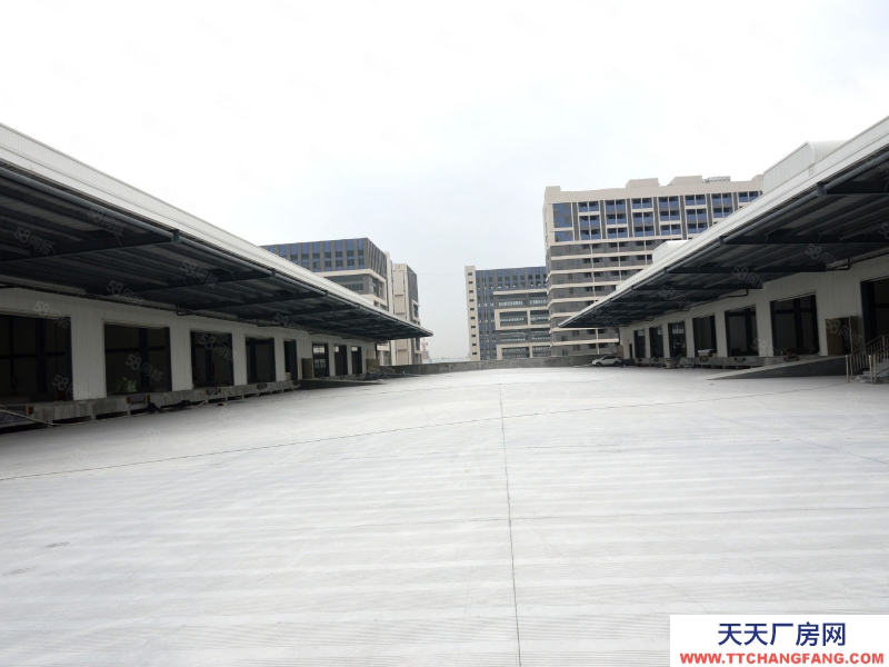 (出租) 廣州白云獨院7萬方庫房，倉儲租賃，高速附近，租期靈活一日起租