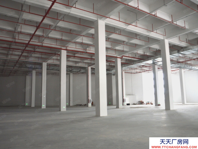 (出租)廣州白云 物流倉庫，分割58平起租，B2B一件代發，托管常溫倉