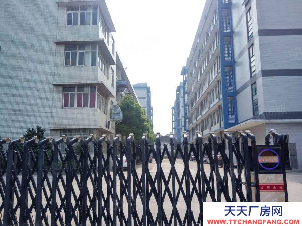 武漢江岸(出租) 黃陂2000平電商產業園倉庫出租廠房招租大小都有