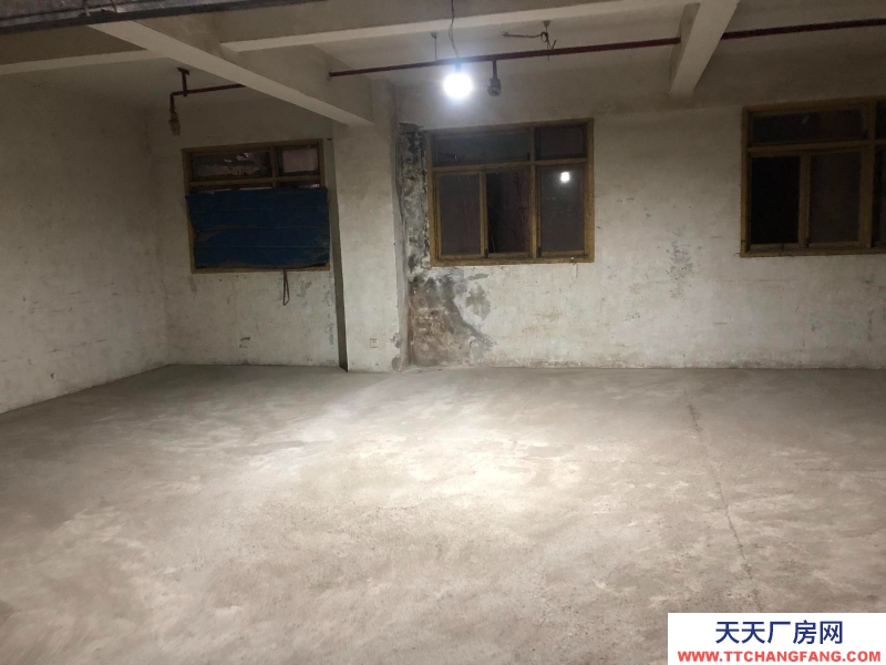 重慶渝中菜園壩倉庫出租