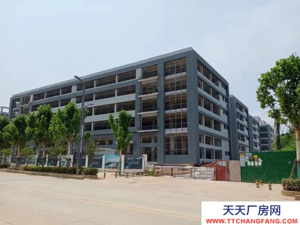 武漢江岸(出售) 雄新產業園即將交房,帶單獨衛生間和電梯,每層可辦證