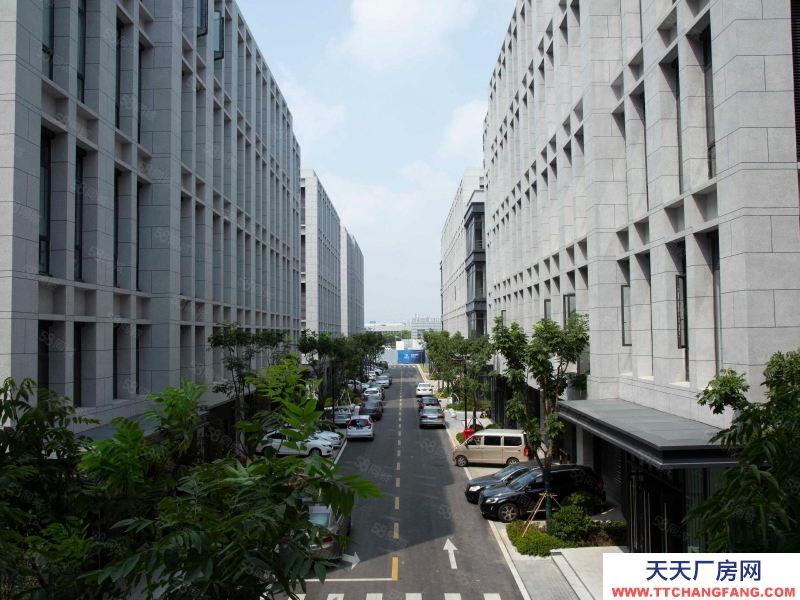 (出售) 準現樓！離鴉崗25分鐘終車程國有五十年紅本