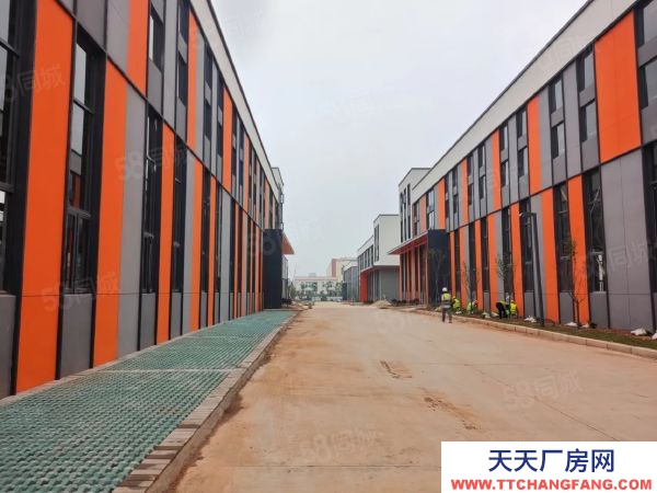 武漢江岸(出售) 長江新區(qū)產(chǎn)業(yè)新城 獨棟鋼構(gòu)廠房，層高11米，帶行車