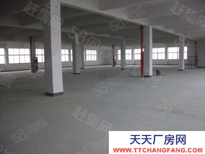 武漢江岸(出租) 租倉庫 面積自選 租期自由 可 房東直租 車到倉庫