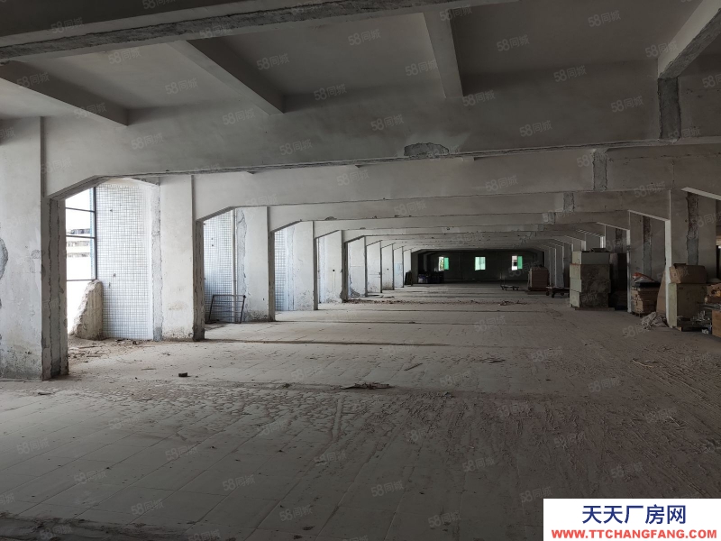 (出租) 廣州荔灣業主直租！4500方廠房可以自由分割，靈活多變，采光好！