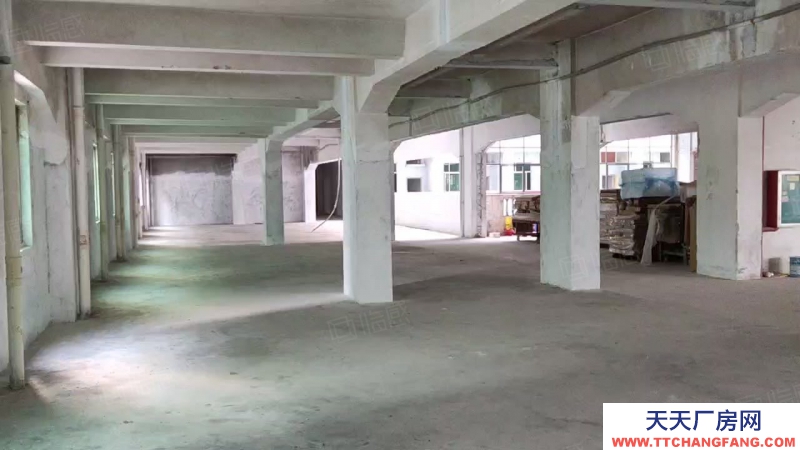 (出租) 廣州荔灣業主直租！4500方廠房可以自由分割，靈活多變，采光好！