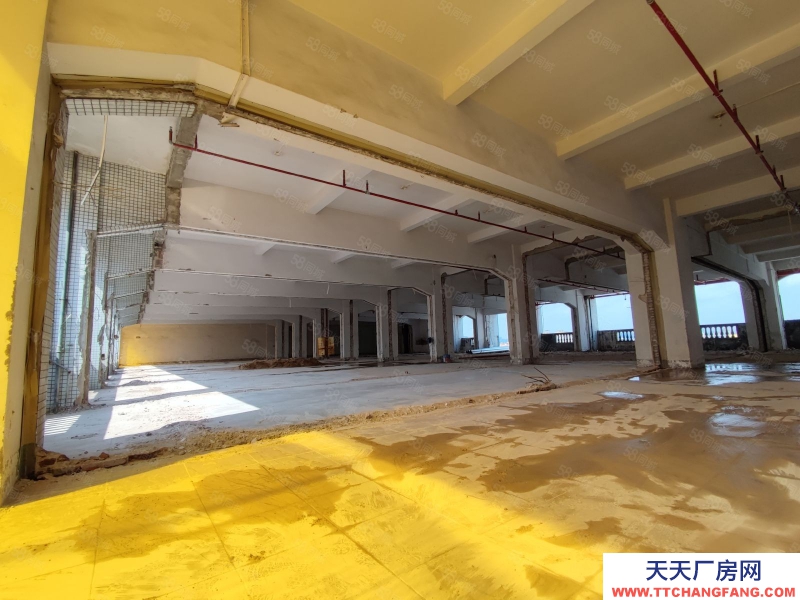 (出租) 廣州荔灣業主直租！4500方廠房可以自由分割，靈活多變，采光好！