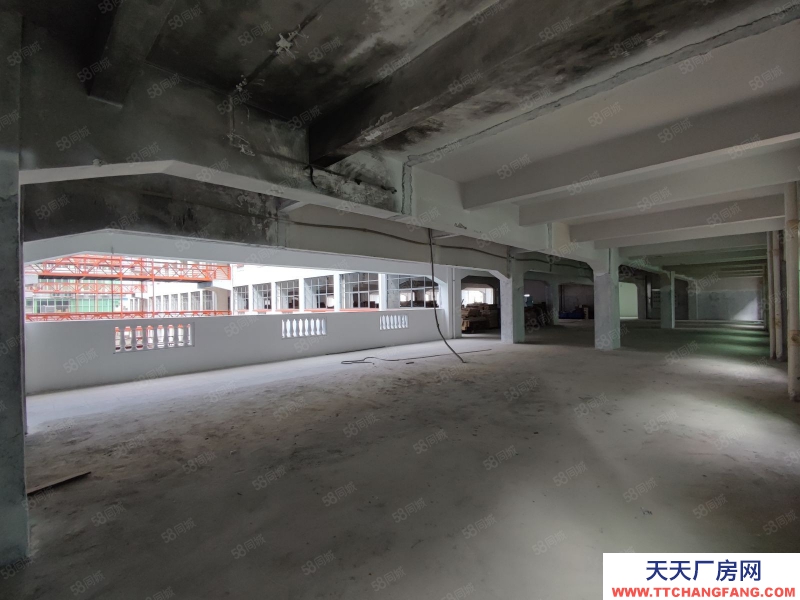 (出租) 廣州荔灣業主直租！4500方廠房可以自由分割，靈活多變，采光好！