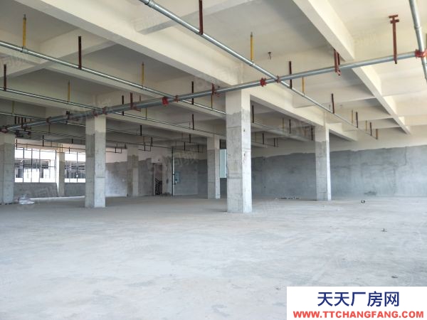 武漢江岸(出租) 二環(huán)線沿江大道旁倉庫直租無中介,100平起租