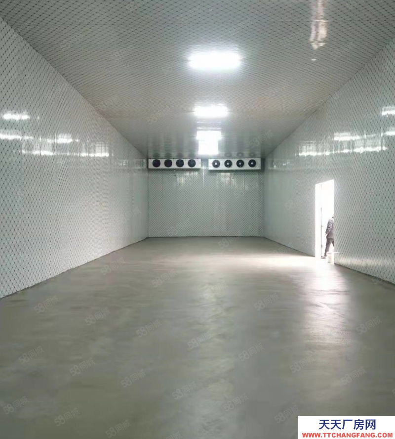 濟南歷城荷花路倉庫冷庫出租(可分租)