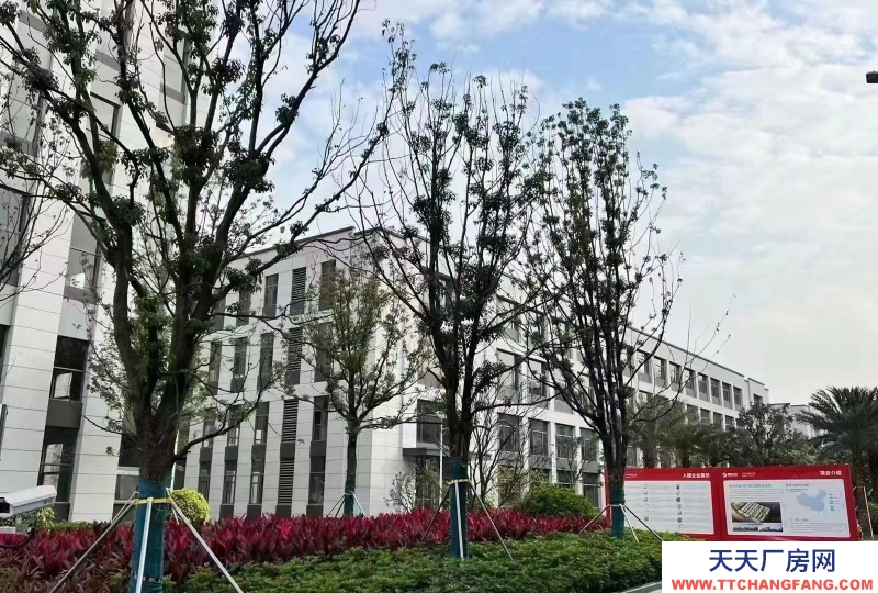 (出租) 出租 開發(fā)商直租無(wú)中介