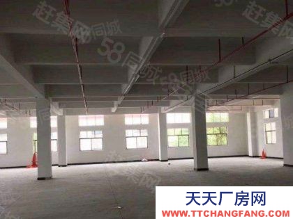 武漢江岸(出租) 出租 倉庫直租 面積自選 租期自由 有大有小 車到倉庫 獨立