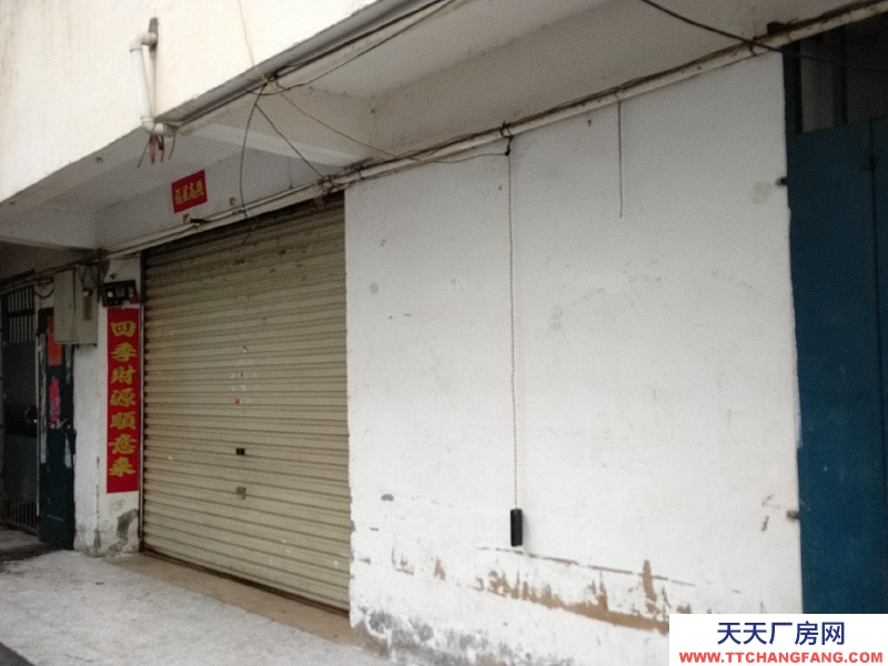 南寧市青秀區出租村集體土地，目前為本人承包管理。