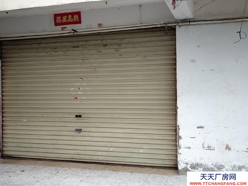 南寧市青秀區出租村集體土地，目前為本人承包管理。