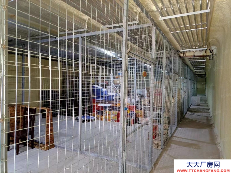 石家莊橋西區(qū) 勝利南街元南路 冷庫出租轉(zhuǎn)讓