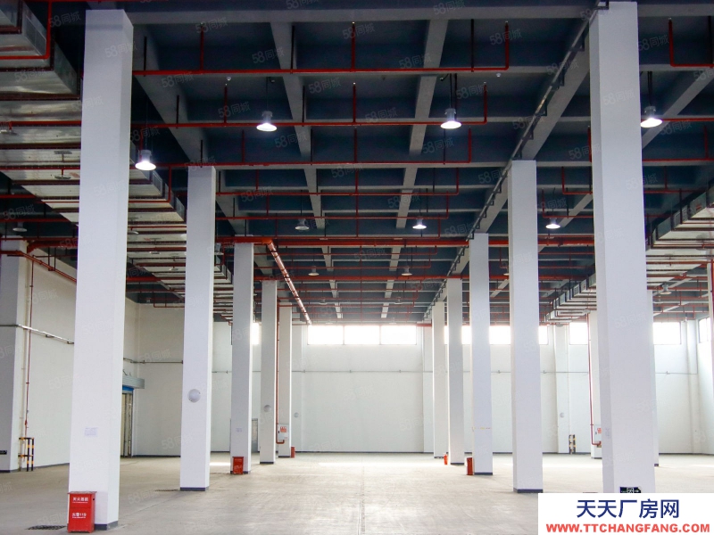 重慶 巴南南彭倉(cāng)庫(kù)出租