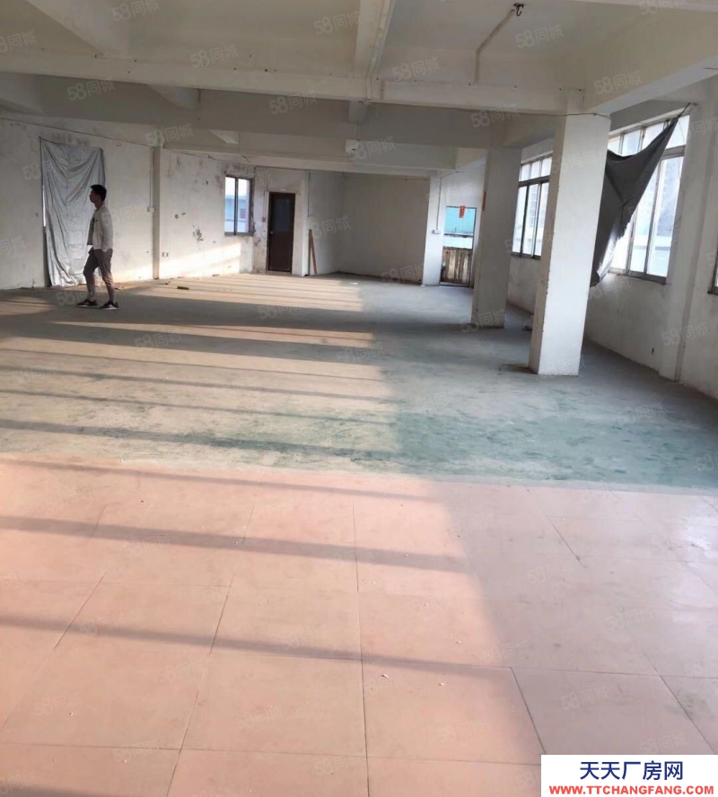 (出租) 荔灣區芳村坑口廠房